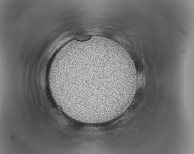 X0000113290291200910131032