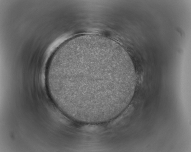 X0000113290294200910131032