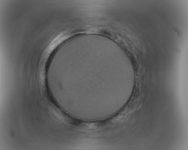 X0000113290295200910131032