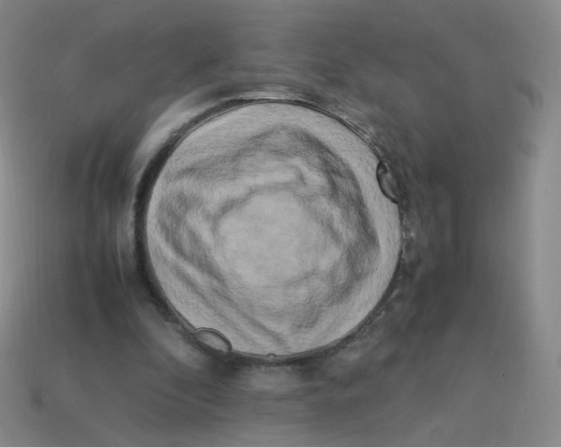 X0000113290296200910131032