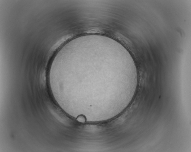 X0000113290298200910131031