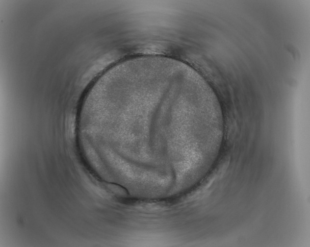 X0000113290299200910131031