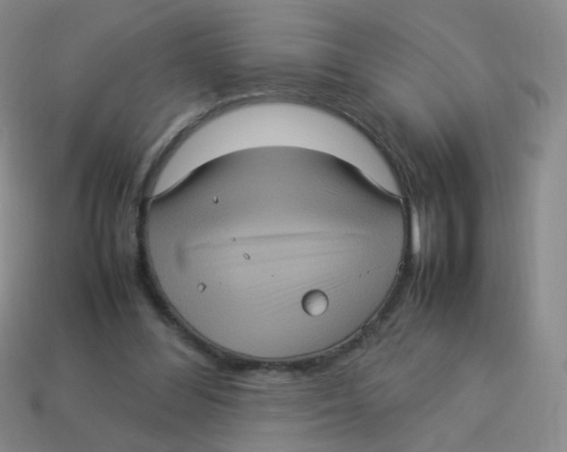 X0000113290300200910131031