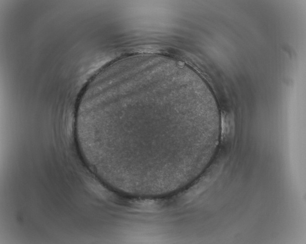 X0000113290301200910131031