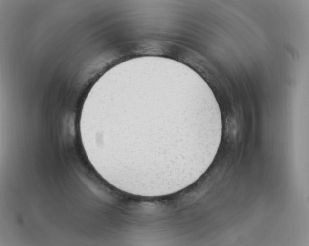 X0000113290302200910131031