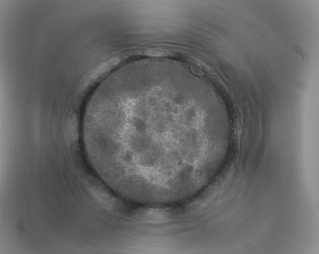 X0000113290303200910131031