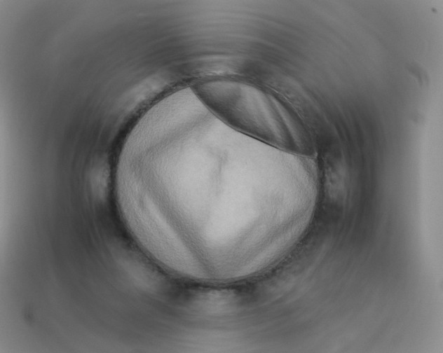 X0000113290304200910131031