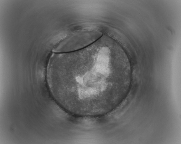 X0000113290305200910131031