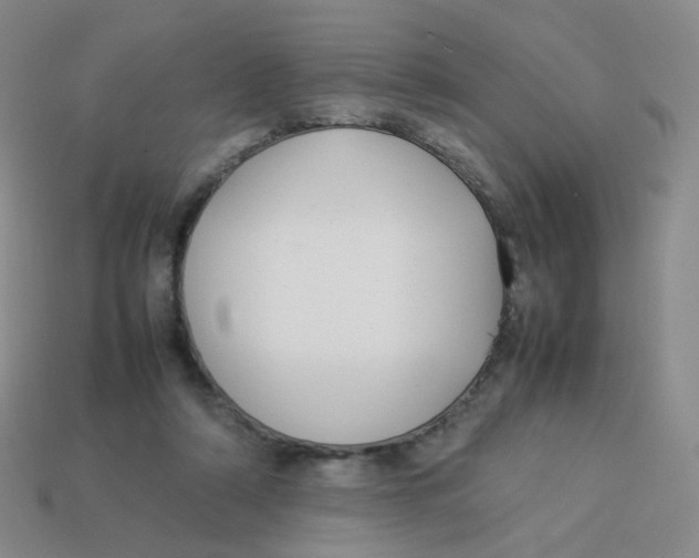 X0000113290306200910131031