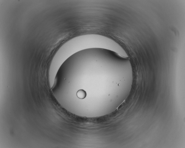 X0000113290308200910131031