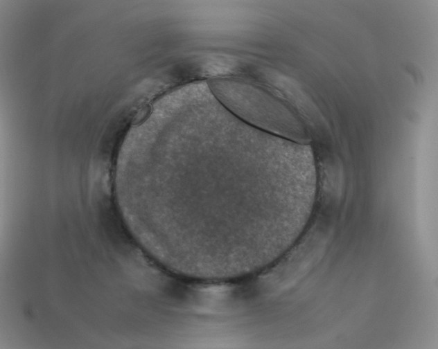 X0000113290313200910131031