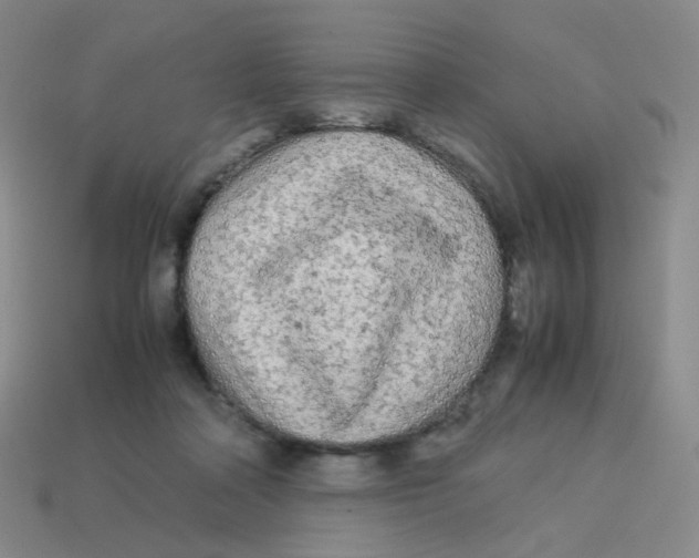 X0000113290314200910131031