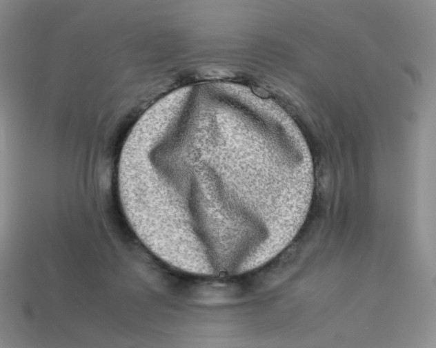 X0000113290315200910131031