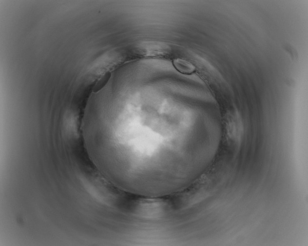 X0000113290316200910131031