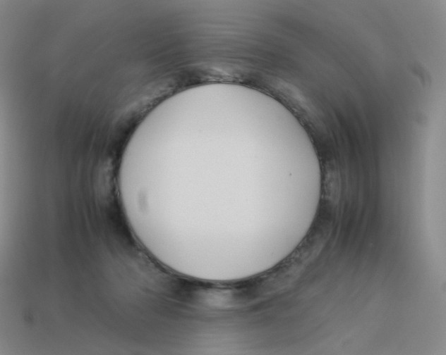 X0000113290318200910131031