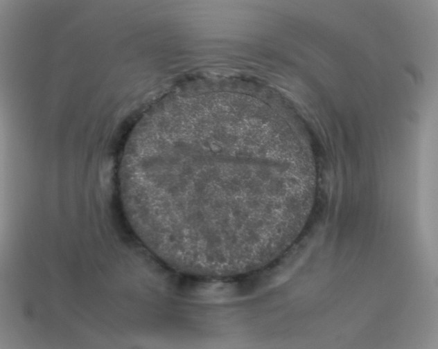X0000113290319200910131031