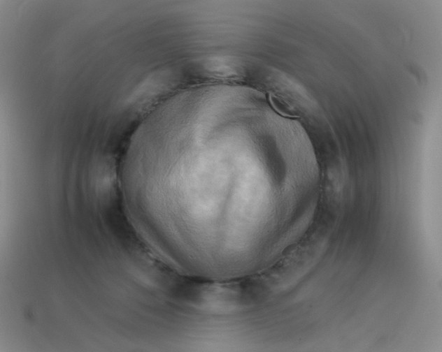 X0000113290320200910131031