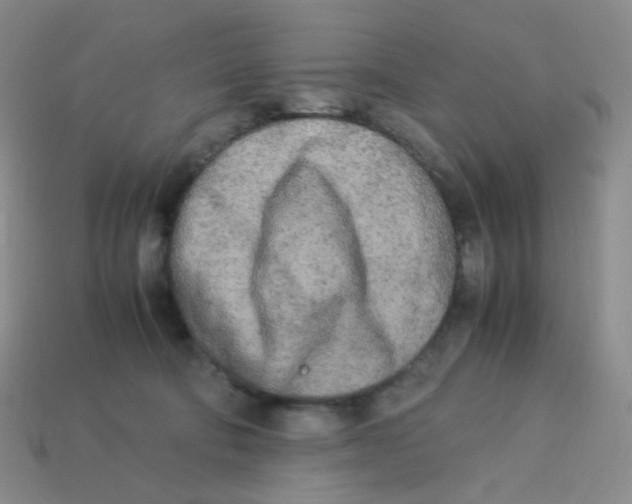 X0000113290322200910131031