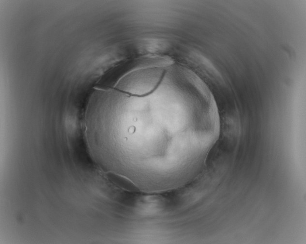 X0000113290324200910131031
