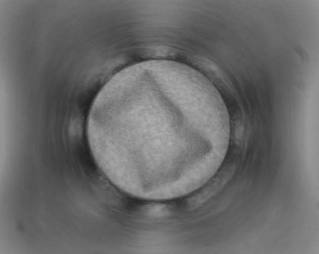 X0000113290326200910131031
