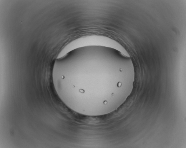 X0000113290328200910131031