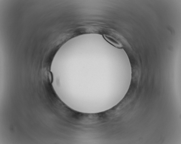X0000113290329200910131031