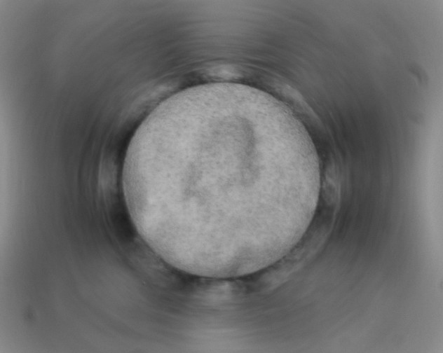 X0000113290330200910131031