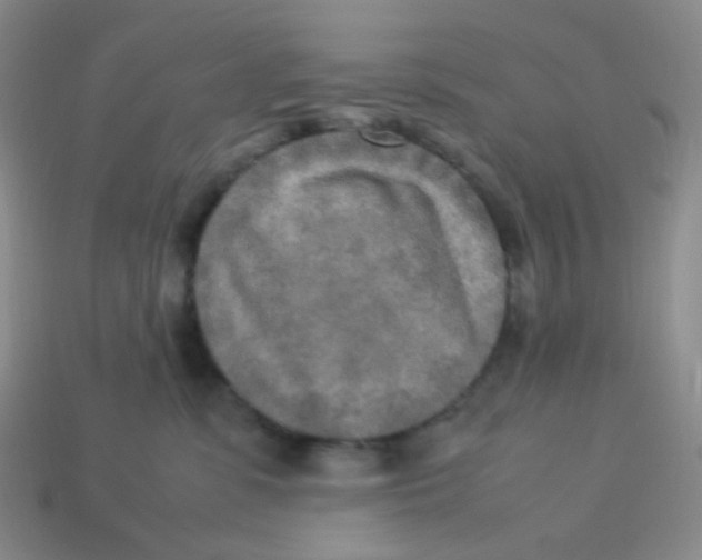 X0000113290331200910131031