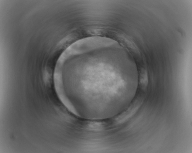 X0000113290332200910131031
