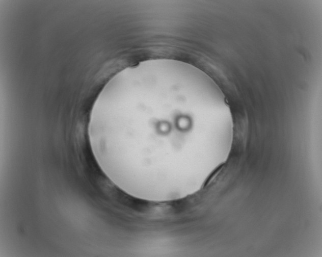 X0000113290333200910131031
