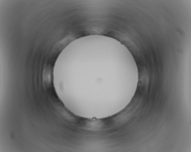 X0000113290334200910131031