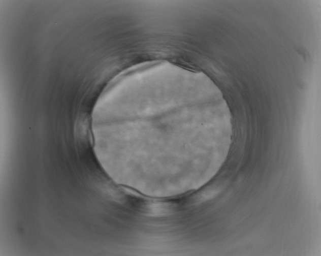X0000113290336200910131031