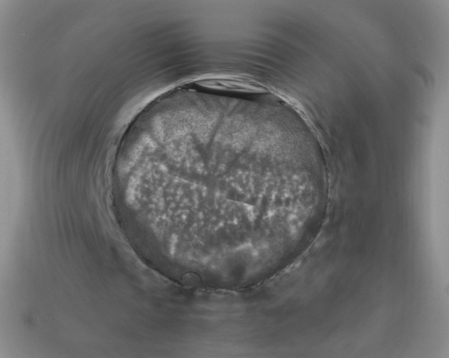 X0000113290337200910131030
