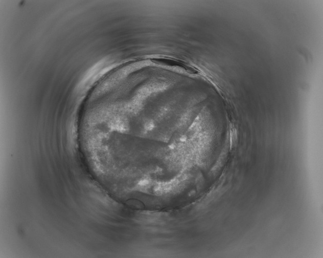 X0000113290339200910131030
