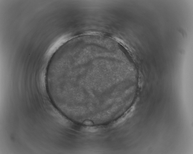 X0000113290341200910131030