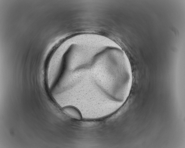 X0000113290342200910131030
