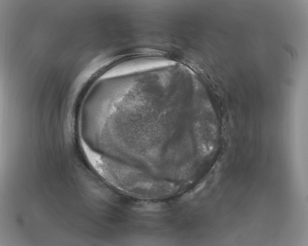 X0000113290343200910131030