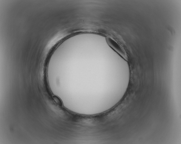 X0000113290344200910131030