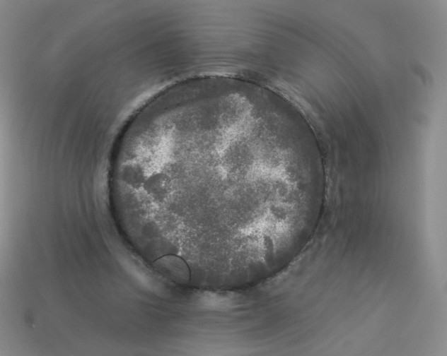 X0000113290346200910131031