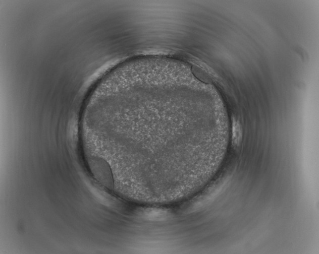 X0000113290348200910131031