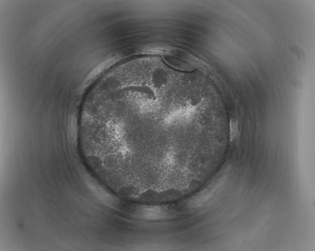 X0000113290349200910131031