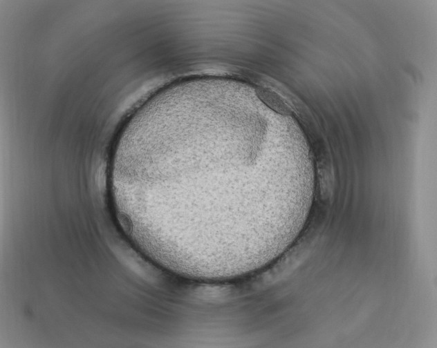 X0000113290350200910131031