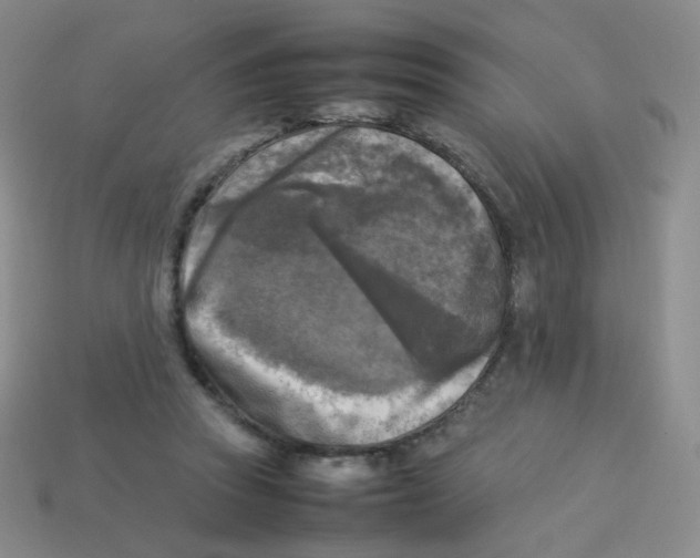 X0000113290353200910131031