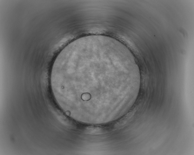 X0000113290354200910131031