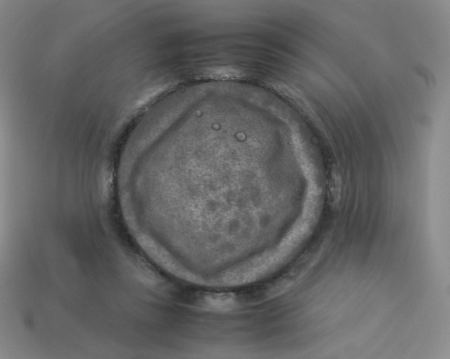 X0000113290355200910131031