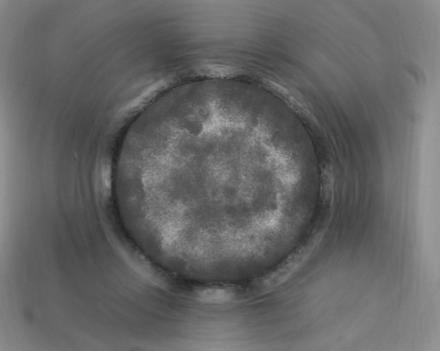 X0000113290358200910131031