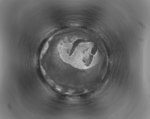 X0000113290359200910131031