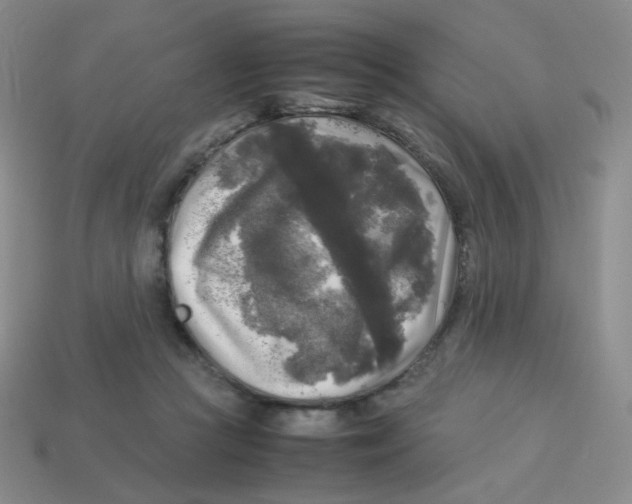 X0000113290361200910131031