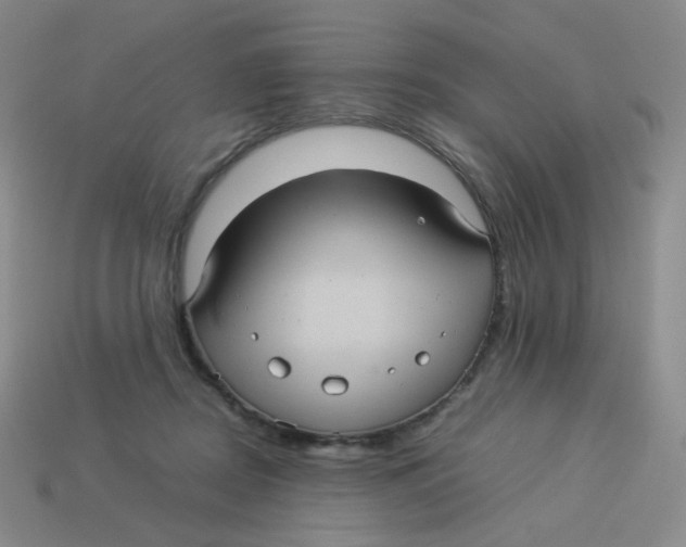 X0000113290362200910131031