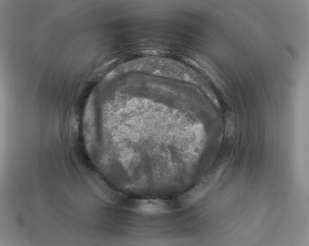X0000113290363200910131031